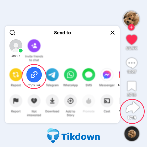 Schritt 1 : Link kopieren