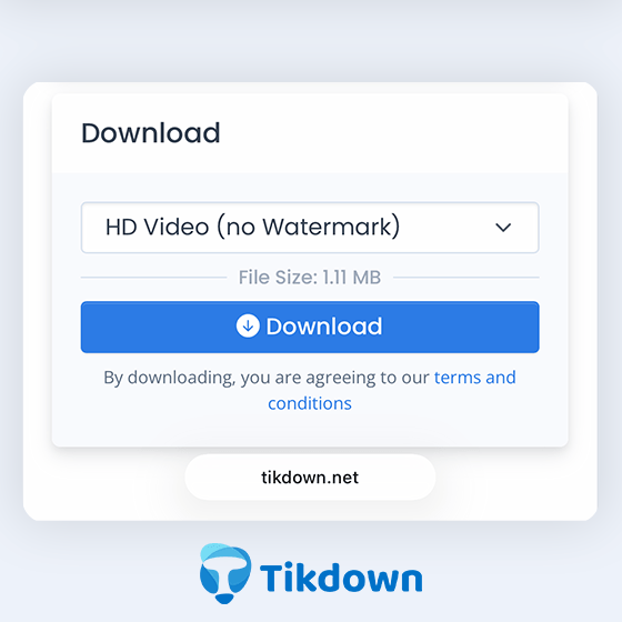 Étape 4 : Choisissez le format de la vidéo